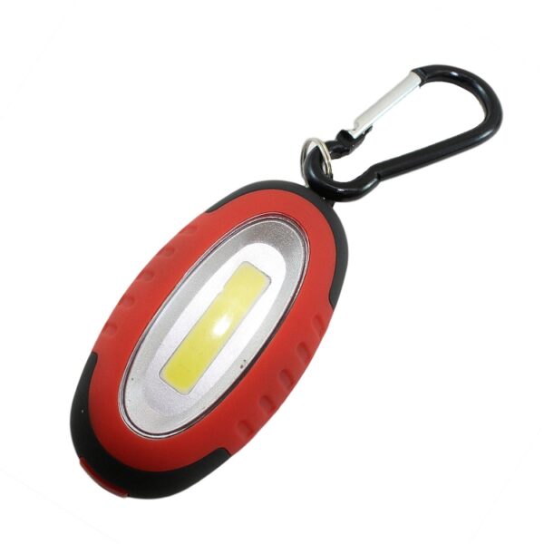 ARCAS ΦΑΚΟΣ ΚΛΕΙΔΙΩΝ CARABINER 24 ΣΕΤ - Image 3